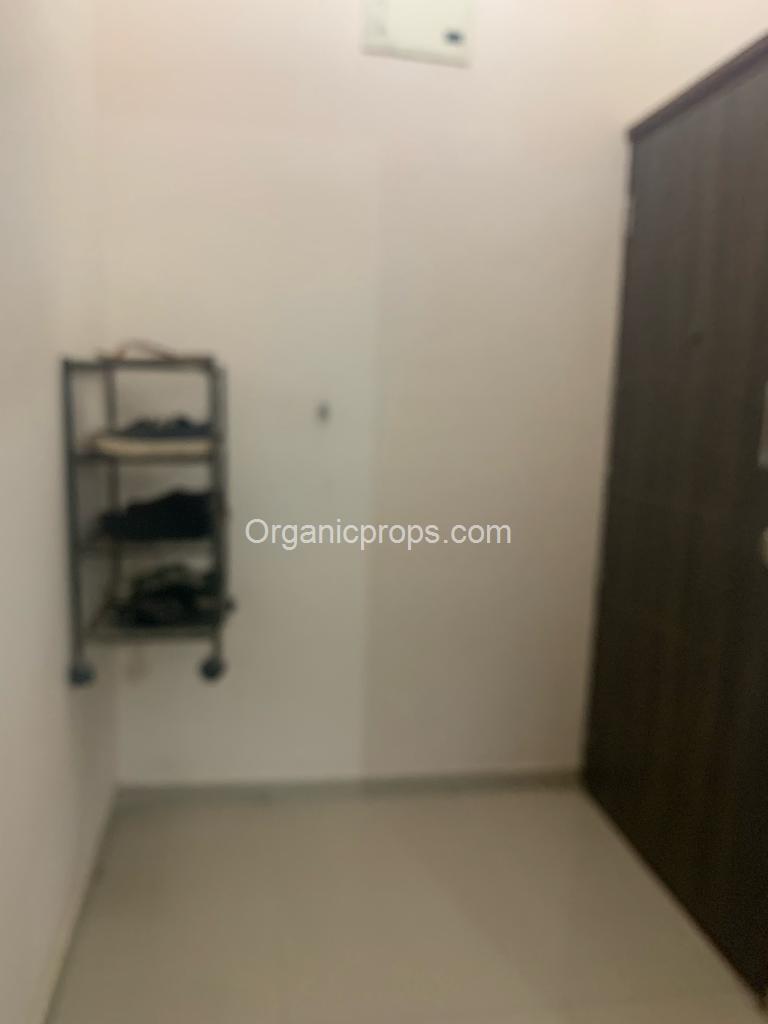 WhatsApp Image 2023-10-30 at 420231030192829903.jpeg